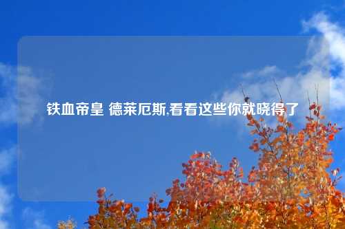 铁血帝皇 德莱厄斯,看看这些你就晓得了