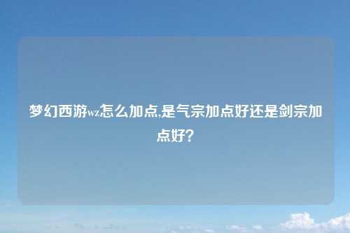 梦幻西游wz怎么加点,是气宗加点好还是剑宗加点好？
