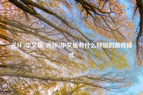 光环2中文版, 光环2中文版有什么特别的游戏模式