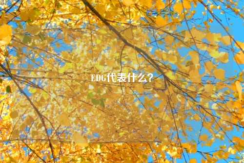 EDG代表什么？