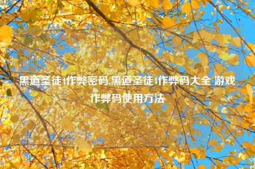 黑道圣徒4作弊密码,黑道圣徒4作弊码大全 游戏作弊码使用方法