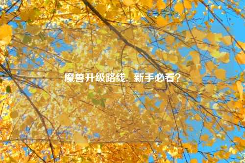 魔兽升级路线,  新手必看？