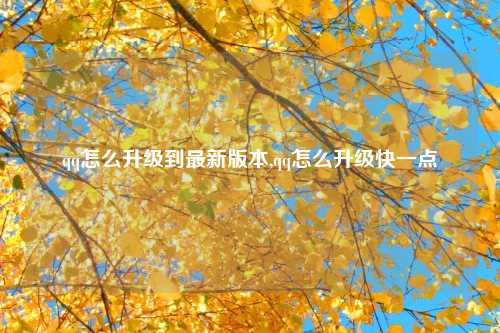 qq怎么升级到最新版本,qq怎么升级快一点