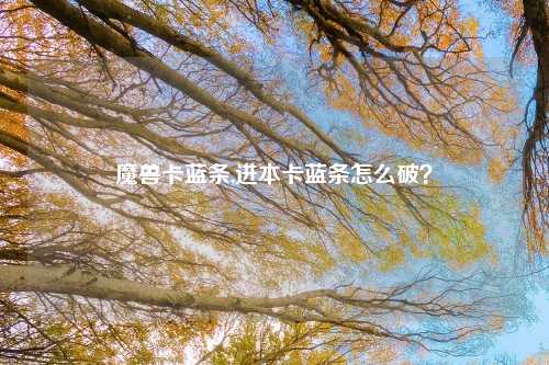 魔兽卡蓝条,进本卡蓝条怎么破？