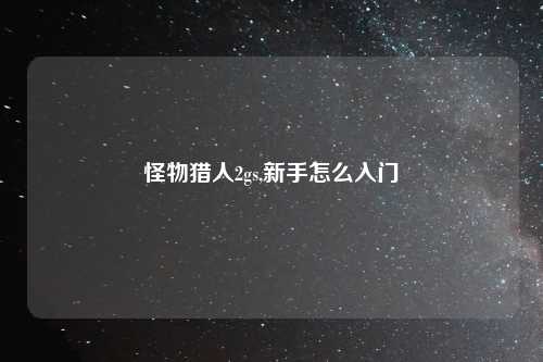 怪物猎人2gs,新手怎么入门