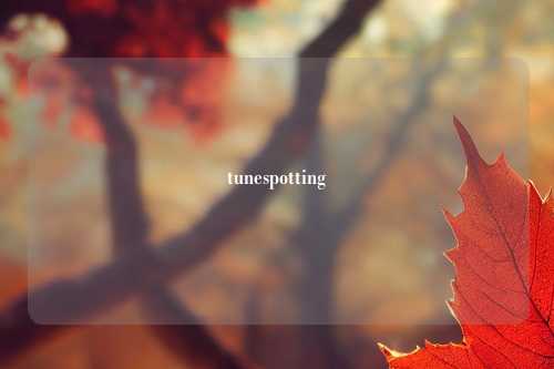 tunespotting