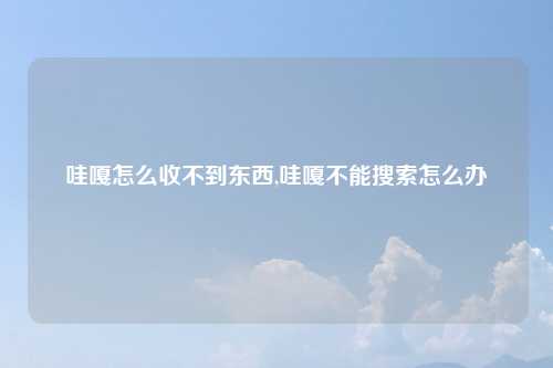哇嘎怎么收不到东西,哇嘎不能搜索怎么办