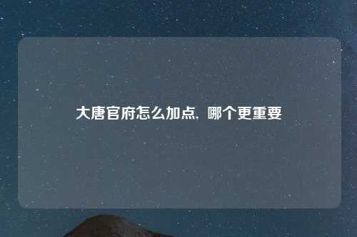 大唐官府怎么加点,  哪个更重要