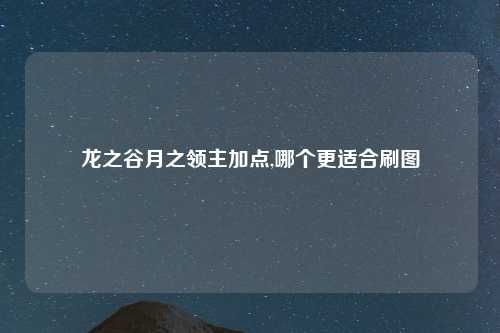 龙之谷月之领主加点,哪个更适合刷图