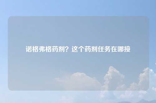 诺格弗格药剂？这个药剂任务在哪接