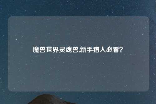 魔兽世界灵魂兽,新手猎人必看？