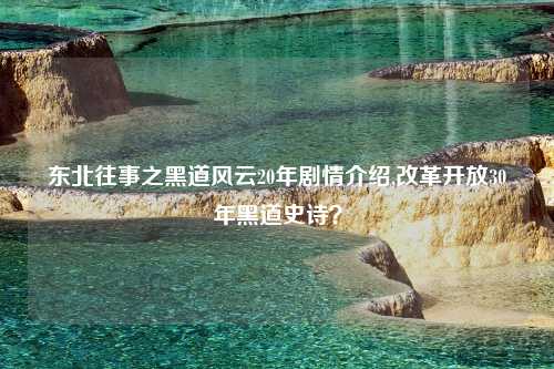 东北往事之黑道风云20年剧情介绍,改革开放30年黑道史诗？