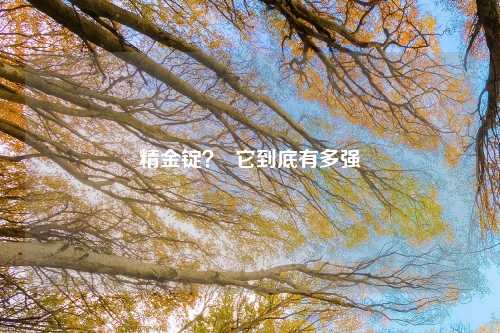 精金锭？  它到底有多强