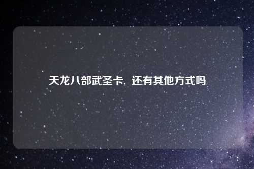 天龙八部武圣卡,  还有其他方式吗