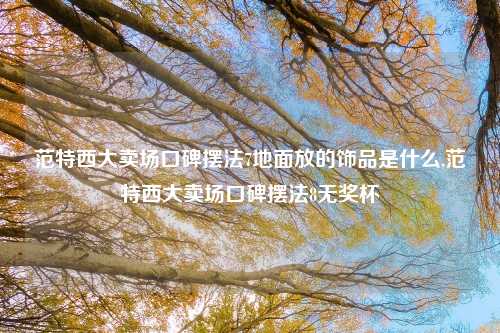 范特西大卖场口碑摆法7地面放的饰品是什么,范特西大卖场口碑摆法8无奖杯