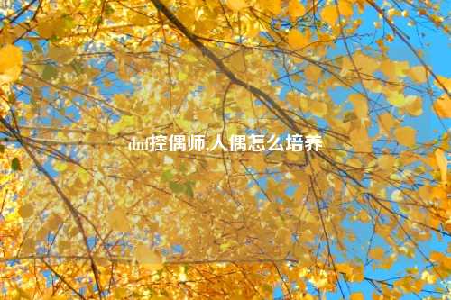 dnf控偶师,人偶怎么培养