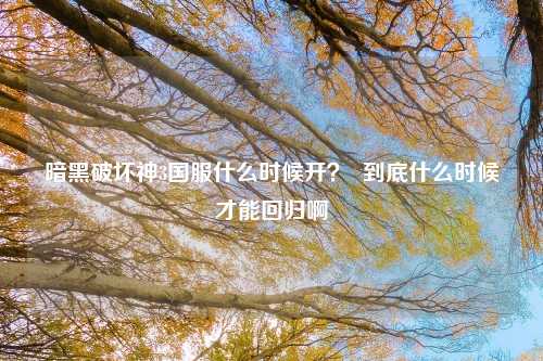 暗黑破坏神3国服什么时候开？  到底什么时候才能回归啊