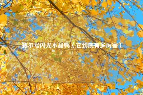 赛尔号闪光水晶鸭（它到底有多厉害）