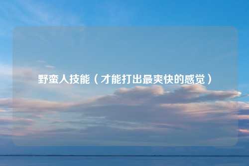 野蛮人技能(才能打出最爽快的感觉)