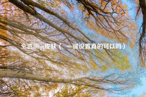 全透明qq皮肤(  一键设置真的可以吗)