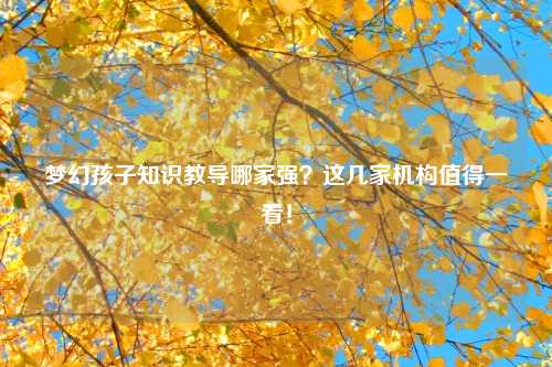 梦幻孩子知识教导哪家强？这几家机构值得一看！