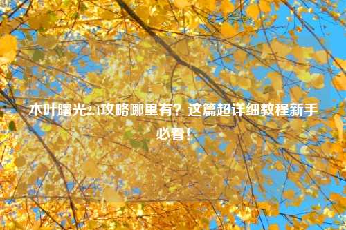 木叶曙光2.4攻略哪里有？这篇超详细教程新手必看！