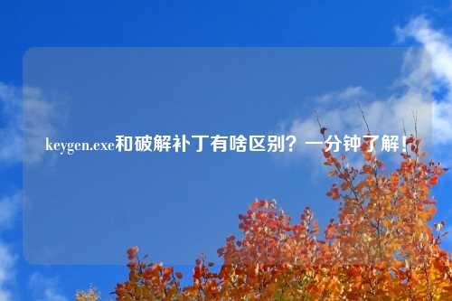 keygen.exe和破解补丁有啥区别？一分钟了解！