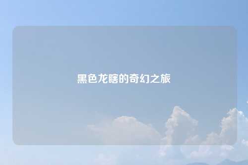 黑色龙瞎的奇幻之旅