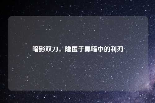暗影双刀，隐匿于黑暗中的利刃