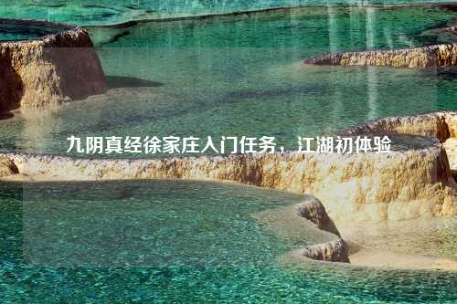 九阴真经徐家庄入门任务，江湖初体验