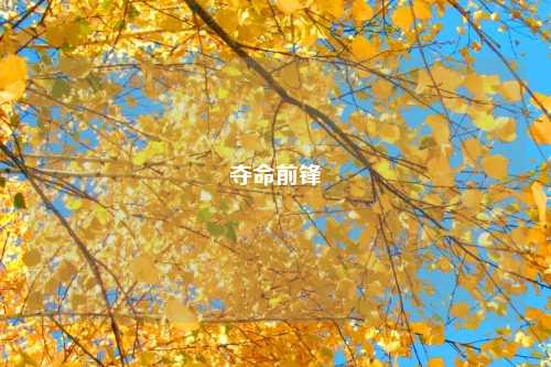 夺命前锋