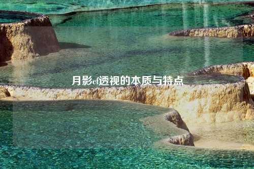 月影cf透视的本质与特点