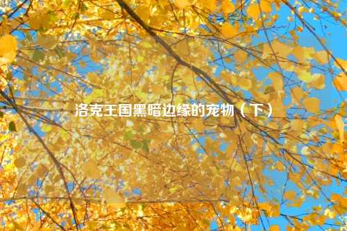洛克王国黑暗边缘的宠物（下）
