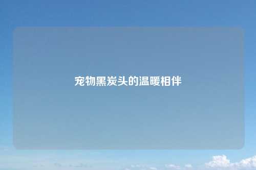 宠物黑炭头的温暖相伴