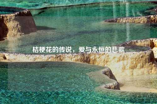 桔梗花的传说，爱与永恒的悲歌