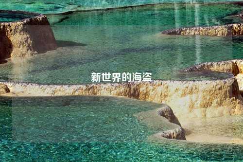 新世界的海盗