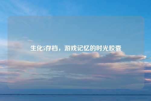 生化5存档，游戏记忆的时光胶囊