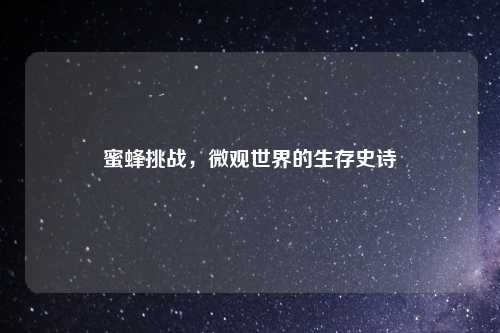 蜜蜂挑战，微观世界的生存史诗