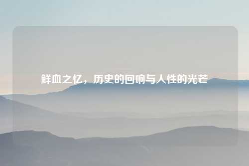 鲜血之忆，历史的回响与人性的光芒