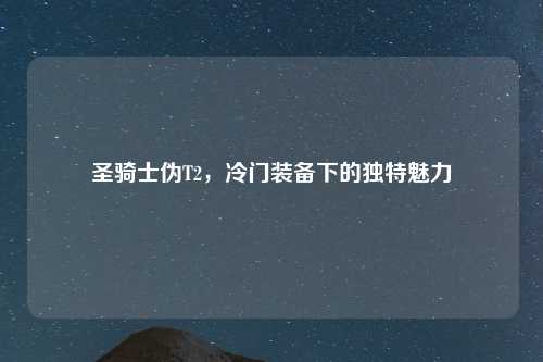 圣骑士伪T2，冷门装备下的独特魅力