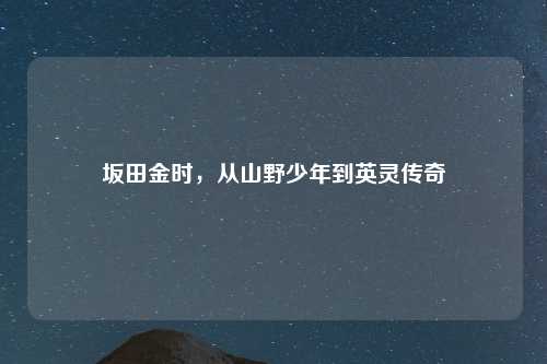坂田金时，从山野少年到英灵传奇
