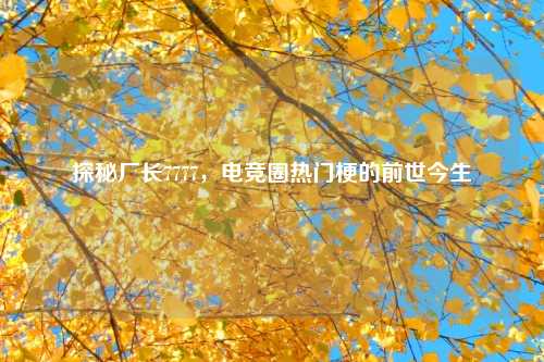 探秘厂长7777，电竞圈热门梗的前世今生