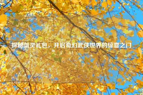 探秘剑灵礼包,开启奇幻武侠世界的惊喜之门