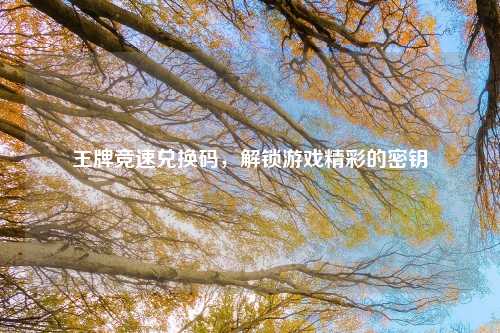 王牌竞速兑换码，解锁游戏精彩的密钥