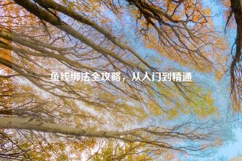 鱼线绑法全攻略，从入门到精通